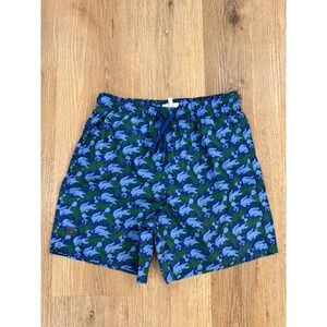 Lacoste Minecraft Swim Trunks Kids 14 Blue Green Pixel Crocodile Board‎ Shorts